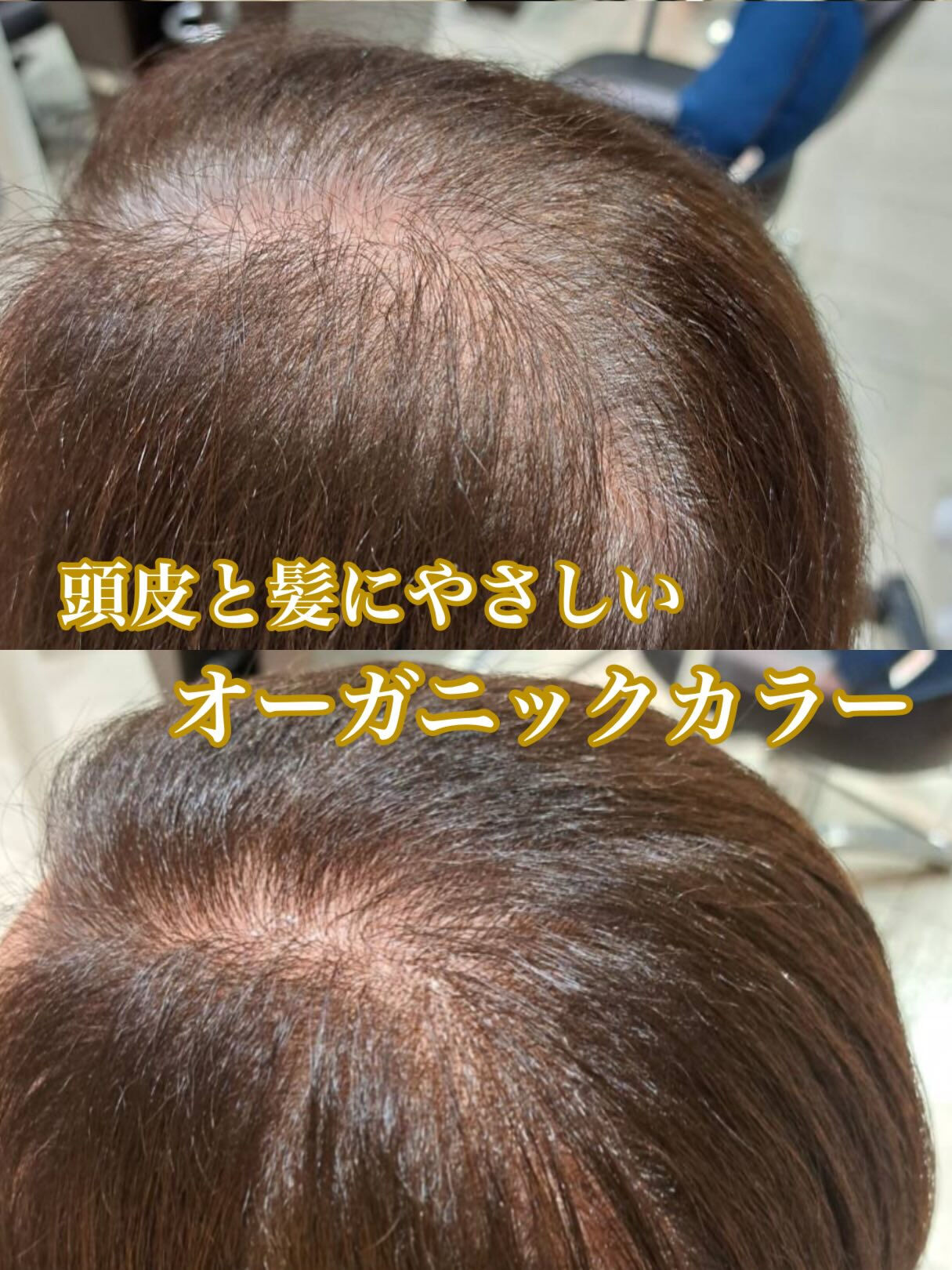 【オーガニックカラー】